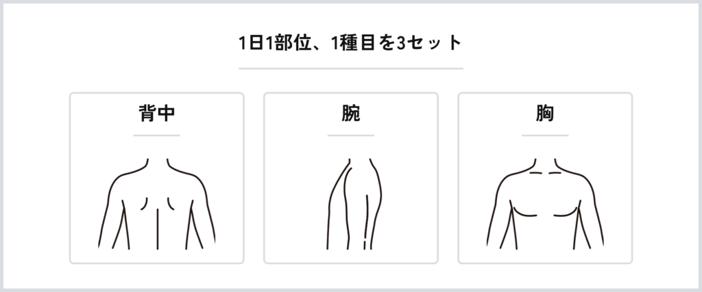 記事内画像